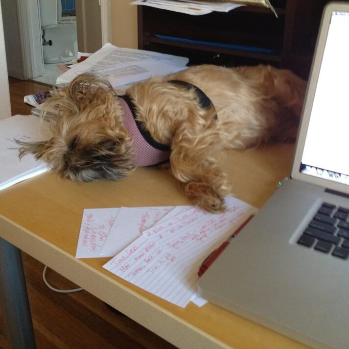 geisha hard at work